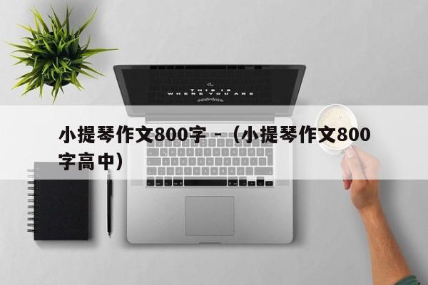 小提琴作文800字 -（小提琴作文800字高中） 第1张