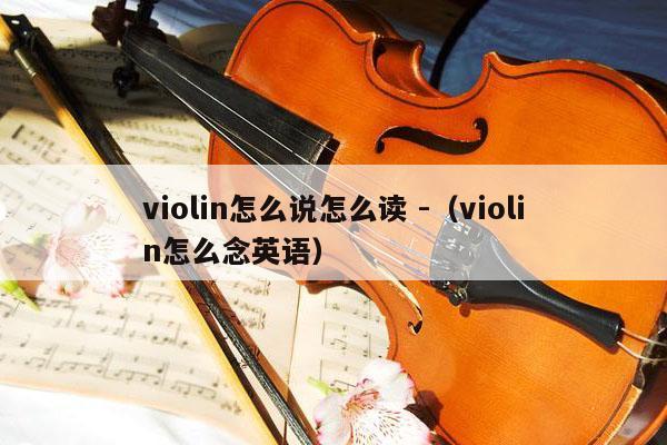 violin怎么说怎么读 -（violin怎么念英语） 第1张