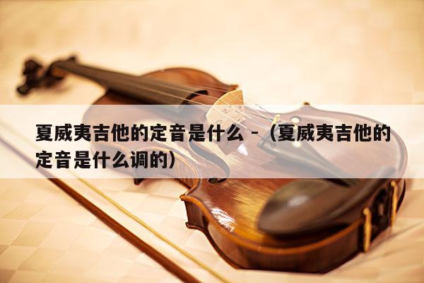 夏威夷吉他的定音是什么 -（夏威夷吉他的定音是什么调的） 第1张