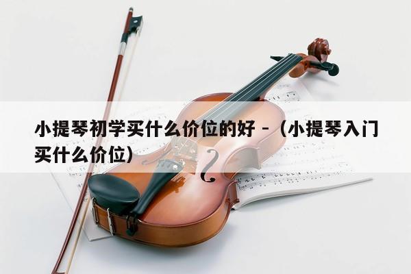 小提琴初学买什么价位的好 -（小提琴入门买什么价位） 第1张