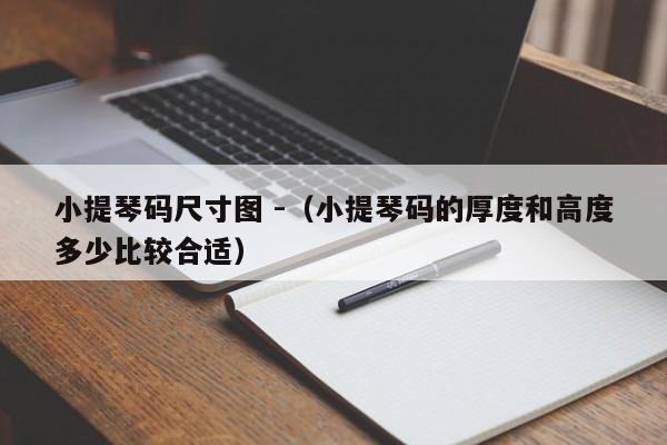 小提琴码尺寸图 -（小提琴码的厚度和高度多少比较合适） 第1张