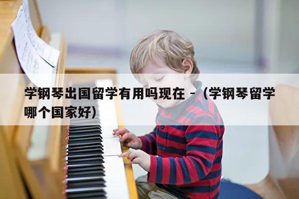 学钢琴出国留学有用吗现在 -（学钢琴留学哪个国家好） 第1张