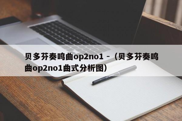 贝多芬奏鸣曲op2no1 -（贝多芬奏鸣曲op2no1曲式分析图） 第1张