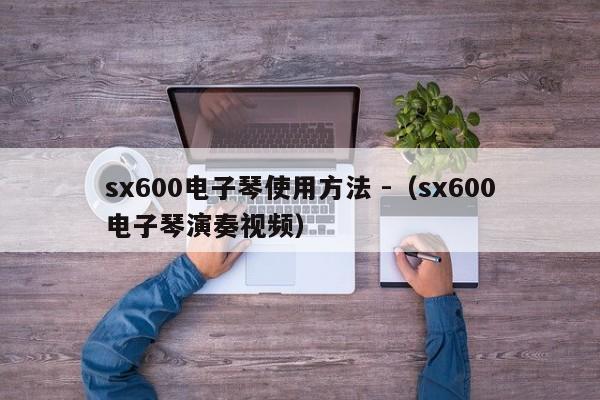 sx600电子琴使用方法 -（sx600电子琴演奏视频） 第1张