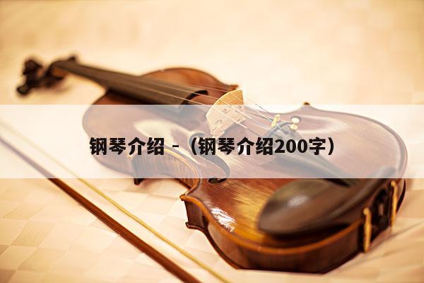 钢琴介绍 -（钢琴介绍200字） 第1张