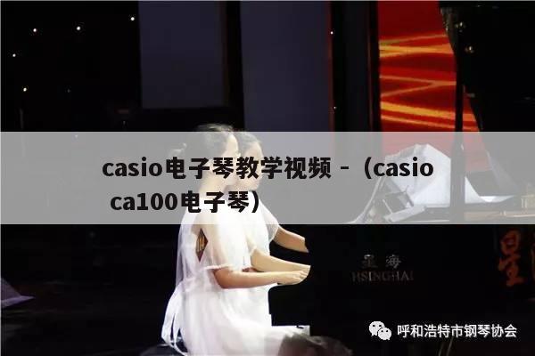 casio电子琴教学视频 -（casio ca100电子琴） 第1张