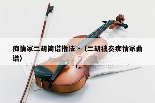 痴情冢二胡简谱指法 -（二胡独奏痴情冢曲谱） 第1张