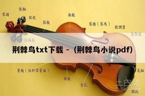 荆棘鸟txt下载 -（荆棘鸟小说pdf） 第1张