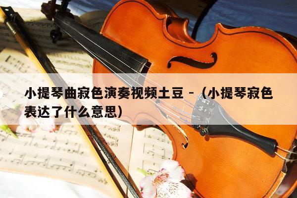 小提琴曲寂色演奏视频土豆 -（小提琴寂色表达了什么意思） 第1张