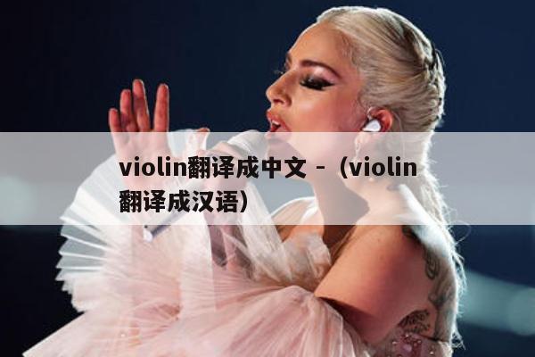 violin翻译成中文 -（violin翻译成汉语） 第1张