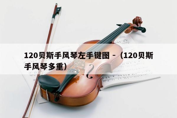 120贝斯手风琴左手键图 -（120贝斯手风琴多重） 第1张