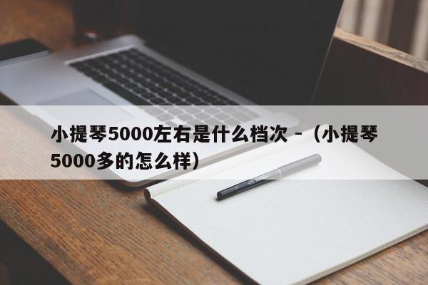 小提琴5000左右是什么档次 -（小提琴5000多的怎么样） 第1张