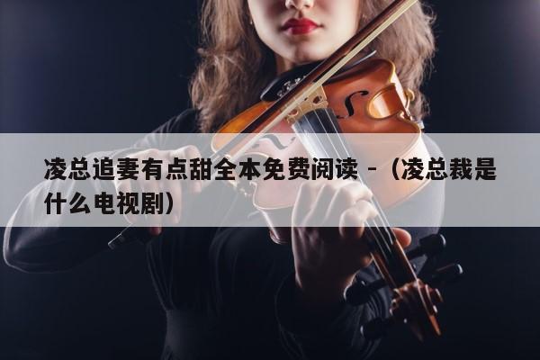 凌总追妻有点甜全本免费阅读 -（凌总裁是什么电视剧） 第1张