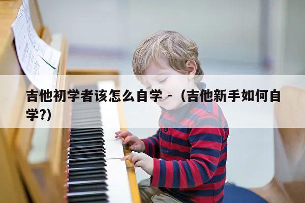 吉他初学者该怎么自学 -（吉他新手如何自学?） 第1张