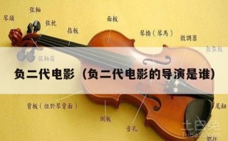 负二代电影（负二代电影的导演是谁）