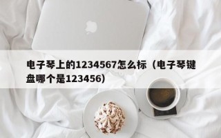 电子琴上的1234567怎么标（电子琴键盘哪个是123456）