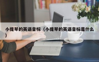 小提琴的英语音标（小提琴的英语音标是什么）