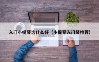 入门小提琴选什么好（小提琴入门琴推荐）