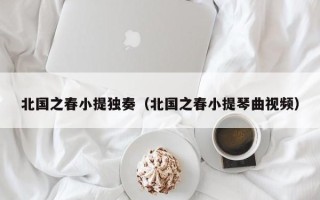 北国之春小提独奏（北国之春小提琴曲视频）