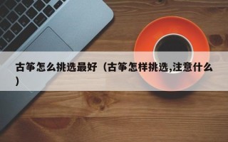 古筝怎么挑选最好（古筝怎样挑选,注意什么）