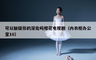 可以触碰你的深处吗樱花电视剧（内衣柜办公室16）