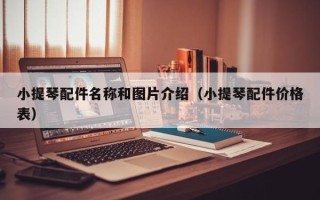 小提琴配件名称和图片介绍（小提琴配件价格表）