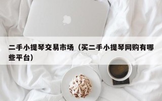 二手小提琴交易市场（买二手小提琴网购有哪些平台）