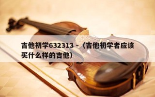 吉他初学632313 -（吉他初学者应该买什么样的吉他）