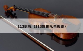 113影视（113影视队电视剧）