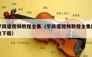 学简谱视频教程全集（学简谱视频教程全集网盘下载）