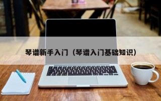 琴谱新手入门（琴谱入门基础知识）