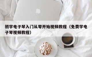 初学电子琴入门从零开始视频教程（免费学电子琴视频教程）