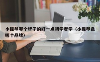 小提琴哪个牌子的好一点初学者学（小提琴选哪个品牌）