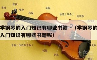 学钢琴的入门知识有哪些书籍 -（学钢琴的入门知识有哪些书籍呢）