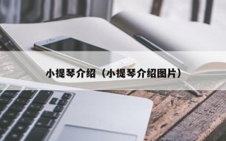 小提琴介绍（小提琴介绍图片）