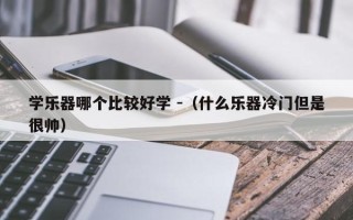 学乐器哪个比较好学 -（什么乐器冷门但是很帅）