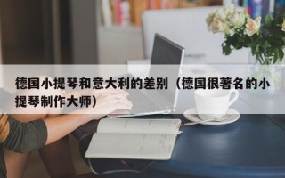 德国小提琴和意大利的差别（德国很著名的小提琴制作大师）