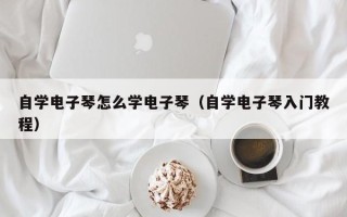 自学电子琴怎么学电子琴（自学电子琴入门教程）