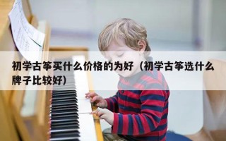 初学古筝买什么价格的为好（初学古筝选什么牌子比较好）