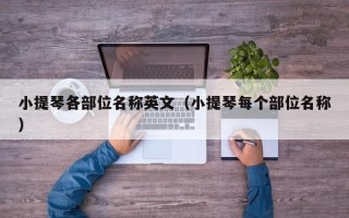 小提琴各部位名称英文（小提琴每个部位名称）