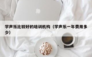 学声乐比较好的培训机构（学声乐一年费用多少）