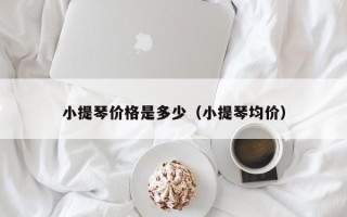 小提琴价格是多少（小提琴均价）