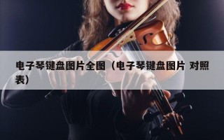 电子琴键盘图片全图（电子琴键盘图片 对照表）