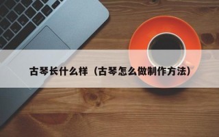 古琴长什么样（古琴怎么做制作方法）