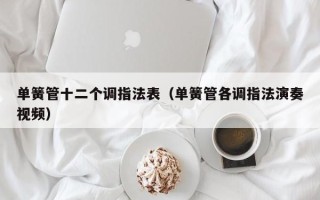 单簧管十二个调指法表（单簧管各调指法演奏视频）