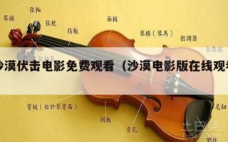 沙漠伏击电影免费观看（沙漠电影版在线观看）