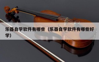 乐器自学软件有哪些（乐器自学软件有哪些好学）