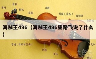 海贼王496（海贼王496集路飞说了什么）