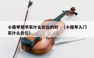 小提琴初学买什么价位的好 -（小提琴入门买什么价位）