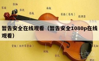 暂告安全在线观看（暂告安全1080p在线观看）